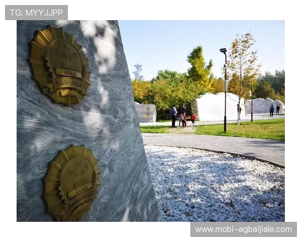 掌握真人国际攻略实现快速增长的五大秘诀最新真人国际攻略实用技巧全方位提升你的国际竞争力专业真人国际攻略为你开启全球成功之门